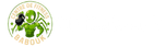 CF BaBouk